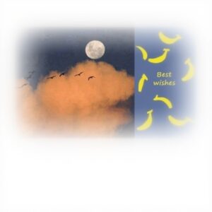 Cartoline ringraziamento DIYthinker notte luna nuvole banana