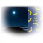 Cartoline ringraziamento DIYthinker notte luna banana 20