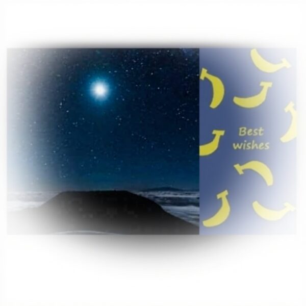 Cartoline ringraziamento DIYthinker notte luna banana 20